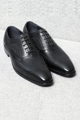 Handgefertigte Oxford-schuhe Aus Echtem Leder Für Herren Schwarze Brogue-oxford-schuhe Mit Spitzer Spitze Und Flügelkappe Formelle Business-schuhe Für Hochzeitsfeiern